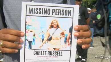 Video Of Carlee Russell - Missing 25-year-old girl
