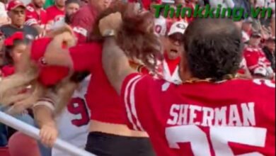 49ers fan fight video