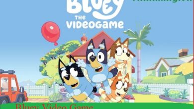 Bluey Video Game
