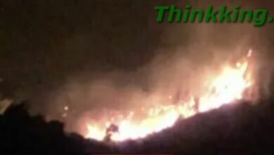viral video warung mbok yem di gunung lawu hangus terbakar, ini faktanya