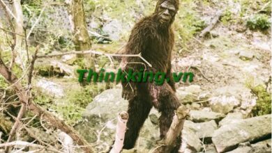 New Bigfoot Video: Is This the Proof We've Been Waiting For?