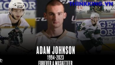 Adam Johnson Jnjury Hockey Video