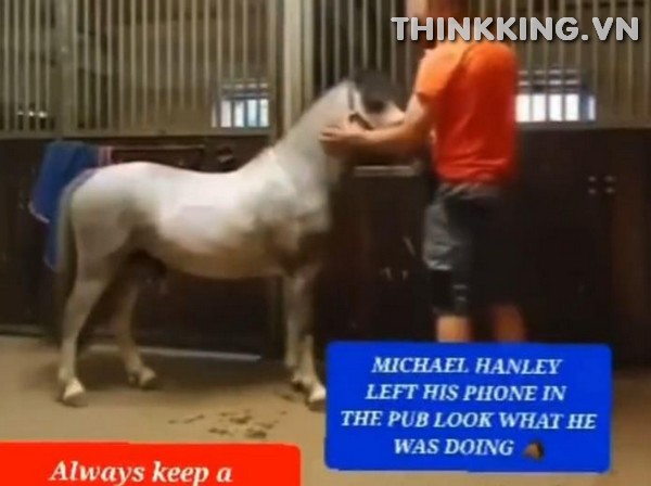 Michael Hanley Horse Video Original Twitter