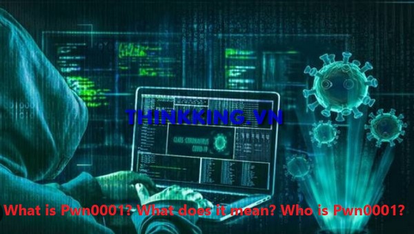 What is Pwn0001? What does it mean? Who is Pwn0001 on Twitter?