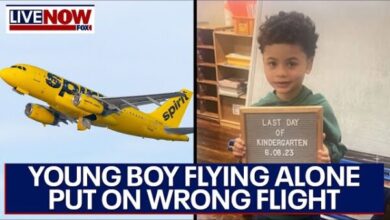 Spirit Airlines child wrong flight video