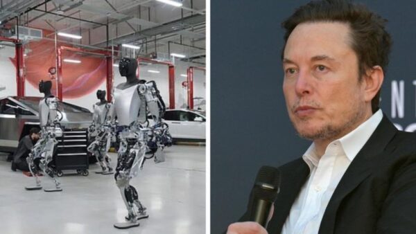 Tesla robot attack 2023