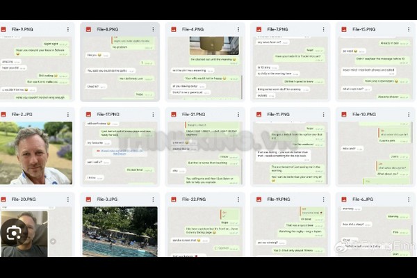 Alleged Christian Horner Whatsapp messages screenshots