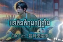 Who is "Fat Cat"? What story made the whole world shake because of him?