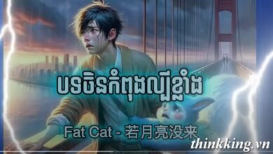 Who is "Fat Cat"? What story made the whole world shake because of him?