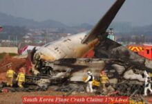 South Korea Plane Crash Claims 179 Lives