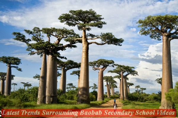 Latest Trends Surrounding Baobab Secondary School Videos