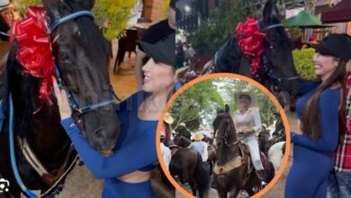 aida victoria merlano horse full video 1
