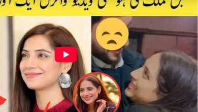 Jobz Hunting Sajal Malik Viral Video