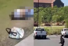 Video shows students in fear and panic during FSU shooting